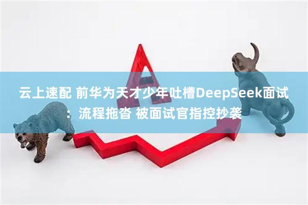 云上速配 前华为天才少年吐槽DeepSeek面试：流程拖沓 被面试官指控抄袭