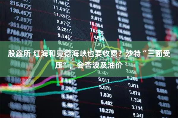 股鑫所 红海和曼德海峡也要收费？沙特“三面受压”，会否波及油价